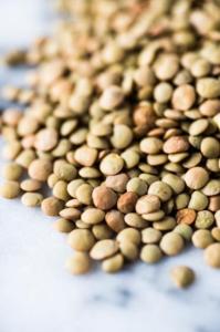 Wholesale lentil: Lentils