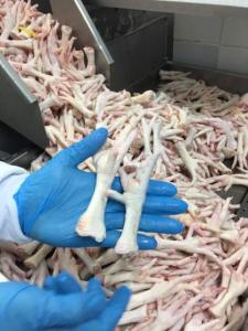 Wholesale slaughter: Frozen Chicken