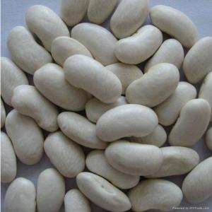 Wholesale styling: White Kidney Beans
