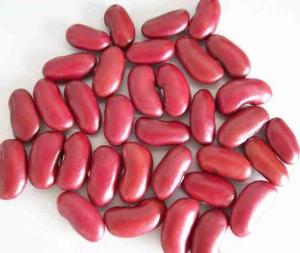 Wholesale cocoa coffee: Red Kidney Beans
