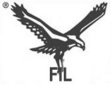 Falcons International Company Logo