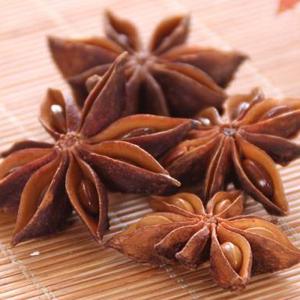 Wholesale Spices & Herbs: Best Quality ANISE SEED
