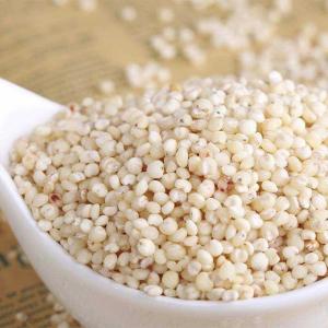 Wholesale maize: High Quality Bulk Red and White Sorghum