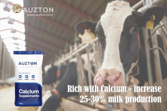 Sell Auzton Calcium Supplement