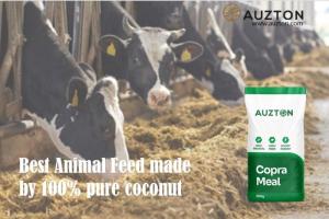Wholesale soybean meal: Auzton Copra Meal