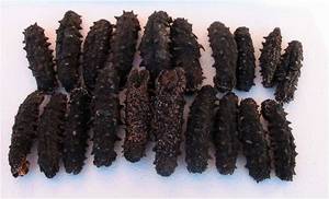 Wholesale dry sea cucumber: Dry Sea Cucumber