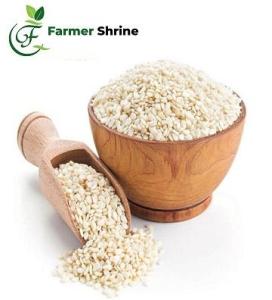 Wholesale Oil Seeds: High Quality White Hulled Sesame Seeds