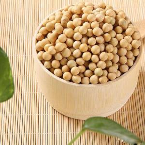 Wholesale Fresh Food: Soybeans / High Quality Non GMO Yellow Dry Soybean Seed / NON-GMO Soya Beans