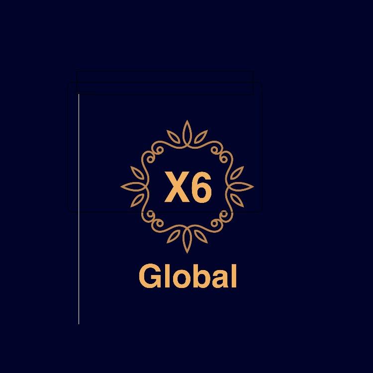 X6 Global Ltd. Sti.