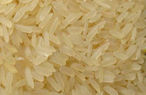 Wholesale irri 6: White and Parboiled Long Grain Rice