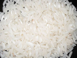 Wholesale irri 6: Rice