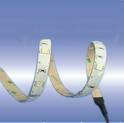 Buy LED STRIP