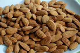 Wholesale nut: Almond Nuts, Apricot Kernels, Betel Nuts, Brazil Nuts, Canned nuts / Cashewnuts, Chest nuts