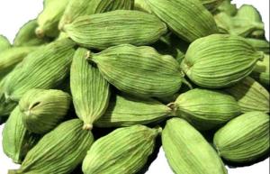 Wholesale Spices & Herbs: Green Cardamom
