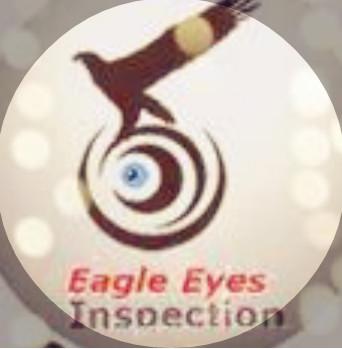 Eagle Eyes Quality Inspection Co.,Ltd.