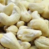 Sell cashew  nuts 