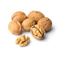 Sell Walnuts