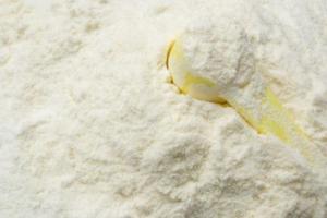 Wholesale camels: Camel Milk Powder Wholesale camels: Camel Milk Powder