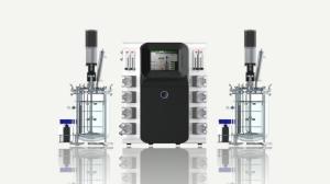 Wholesale Chemical Equipment: Lab Fermenter -FMT DS Series (Bio Reactor)