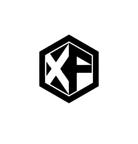Fujian Xingfang Precision Machinery Co., Ltd.