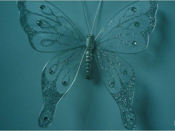 Decorate Butterfly