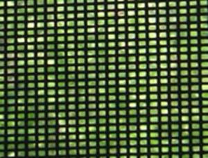 Wholesale woven wire mesh: Powder Coated PET Screen