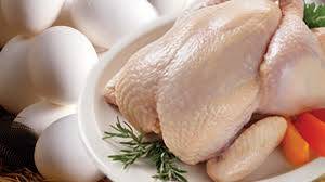 Wholesale frozen whole chicken: Frozen Whole Chicken & Parts and Eggs