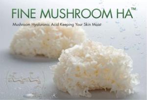 Wholesale skin care: Fine Mushroom HA