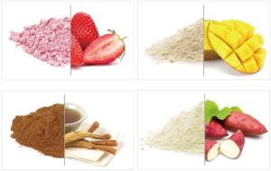 Wholesale Health Food: Powder of Concentrate Fruit