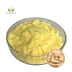 Wholesale ginger powder price: Bulk Price 20:1 Ginger Extract Powder