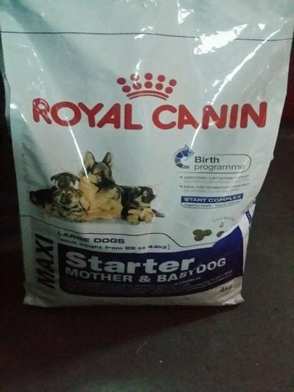 royal canin maxi starter dog food