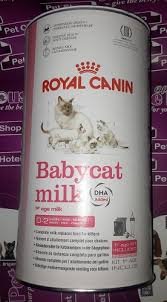 baby dog milk price