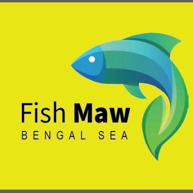 Fish Maw of Bengal Sea