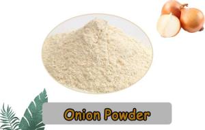 Wholesale Other Seasonings & Condiments: High Quality Dried Onion Powder Factory Price