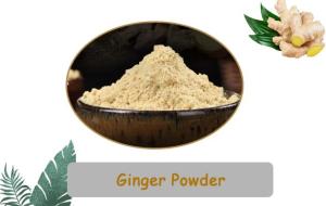 Wholesale ginger powder price: Bulk Organic Ginger Powder Wholesale Price for CommerciaL Use