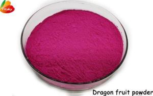 Wholesale Health Food: Premium Grade Dragon Fruit Powder Wholesale Price|Pitaya Powder