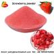 Organic Strawberry Powder Supplier|Fruit Powder Manufacturer