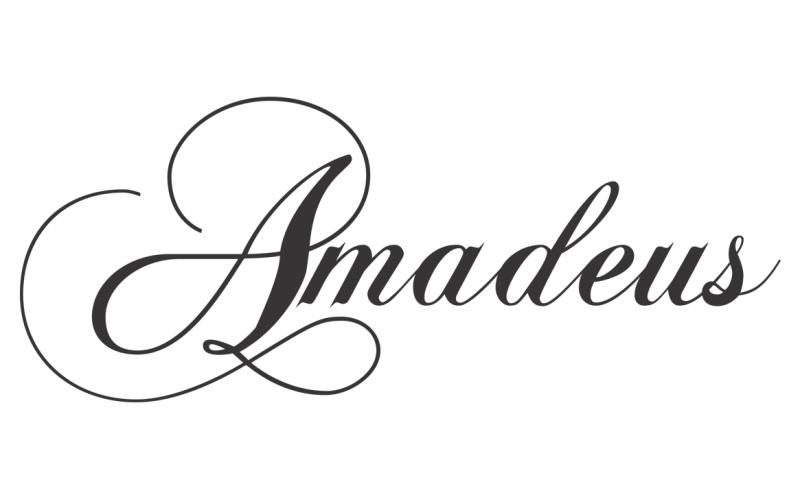 Amadeus Corp