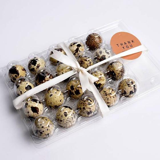 Sell PET Plastic 20 Cell Quail Egg Trays Blister for Sale