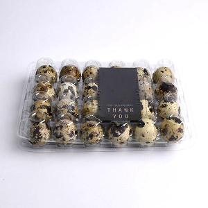 Wholesale sampling: PET Plastic 24 Cell Quail Egg Trays Blister for Sale