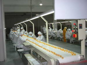 Wholesale Other Manufacturing & Processing Machinery: Checking Line