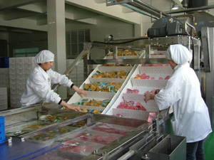 Wholesale plastic conveyor: Plastic Modular Chain Conveyor Wholesale plastic conveyor: Plastic Modular Chain Conveyor