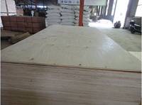 Sell pine plywood---flplywood@yahoo.cn