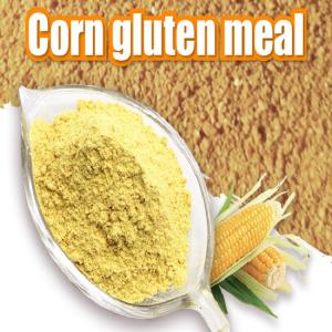 Wholesale corn gluten meal: Corn Gluten Meal