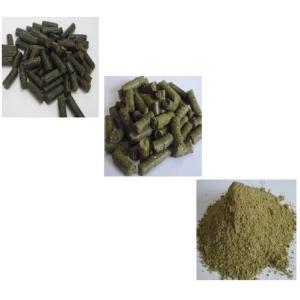 Wholesale chlorella: Cbt(Chlorella,CGF)