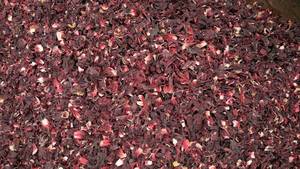 Wholesale jams: Hibiscus Flower