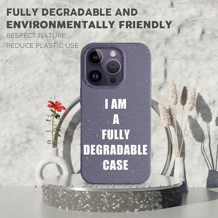 Case