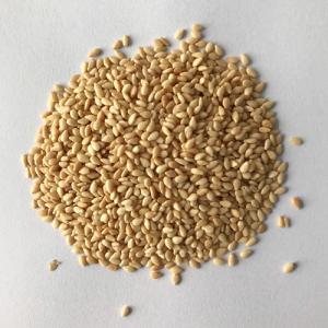 Wholesale zipper: Roasted Hulled White Sesame Seeds