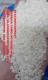 Japonica Sushi Round Rice Good Quality 3% Broken