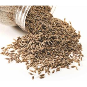 Wholesale Spices & Herbs: Cumin Seeds